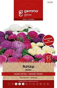 Άστερ Μπορντούρα Νάνος Μίγμα Σπόροι Gemma – Εντυπωσιακή Ανθοφορία για Παρτέρια 🌼