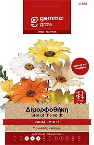 Διμορφοθήκη Μίγμα Gemma – Σπόροι για Πολύχρωμη Καλοκαιρινή Ανθοφορία