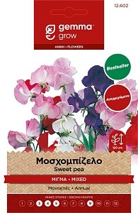 Μοσχομπίζελο Αναρριχώμενο Μίγμα Gemma – Σπόροι Φάκελος