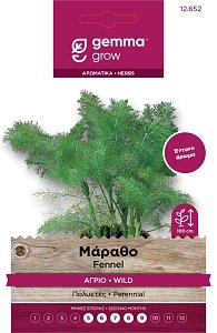 Gemma Μάραθος Άγριος Σπόροι – Πολυετές Αρωματικό για Κήπο & Μαγειρική