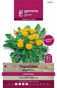 Ταραξάκο φάκελος – Σπόροι πικραλίδας για σαλάτα