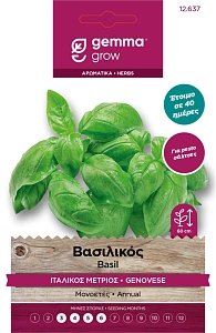 Βασιλικός Ιταλικός Μέτριος Gemma – φάκελος σπόρων