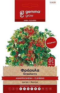 Gemma Φράουλα Αναρριχώμενη – Σπόροι Διετούς Αρωματικής Ποικιλίας