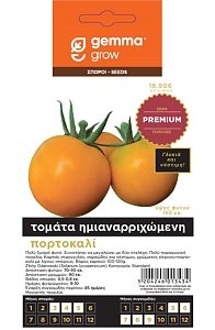 Τομάτα Πορτοκαλί Zloty Ozarowski Gemma – Ημιαναρριχώμενη Ποικιλία Premium