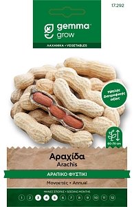 Αραχίδα (αράπικο φυστίκι) – Φάκελος Σπόρων 17292