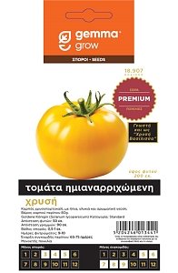 Τομάτα Χρυσή Goldene Konigin Gemma – Ημιαναρριχώμενη Ποικιλία Premium