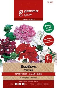Βερβένα Γίγας Μίγμα Σπόροι Gemma – Πολύχρωμη Ανθοφορία για Κήπο & Γλάστρες 🌺