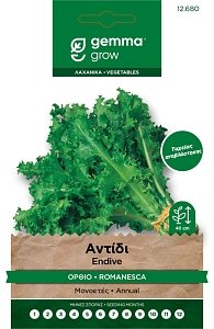 Σπόροι Αντίδι Κατσαρό Όρθιο Romanesca φάκελος