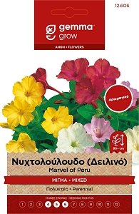 Νυχτολούλουδο Gemma – Αρωματικοί Σπόροι Πολυετούς Φάκελος