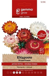 Ελίχρυσο Μίγμα Gemma – Σπόροι για Αποξηραμένα Λουλούδια Ανθεκτικά στον Ήλιο