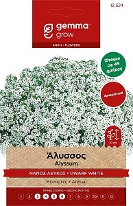 Άλυσσος Λευκός Νάνος Σπόροι Gemma – Μονοετές Αρωματικό για Παρτέρια & Γλάστρες