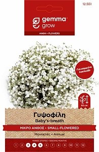 Γυψοφίλη Μικρό Άνθος Gemma – Μονοετής για Κομμένα Λουλούδια