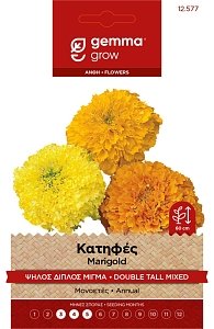 Gemma Κατηφές Ψηλός Διπλός Μίγμα – Σπόροι Φάκελος