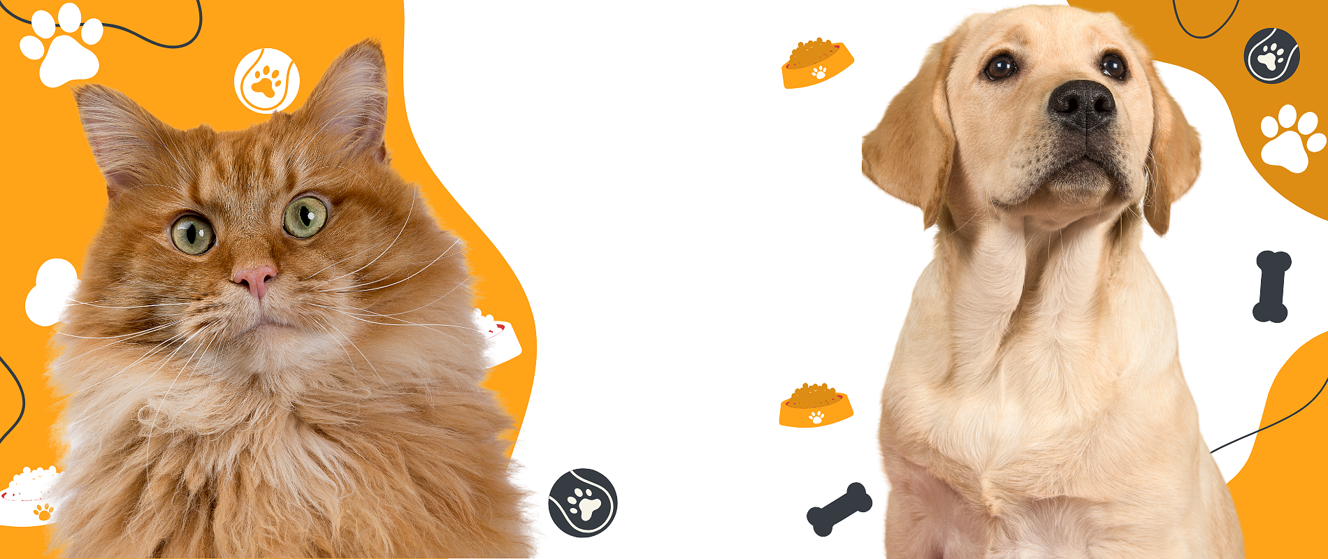 Ανακάλυψε ποιοτικά προϊόντα για σκύλους και γάτες. Premium τροφές, περιποίηση και προστασία με άμεση παράδοση και δωρεάν μεταφορικά >50€.