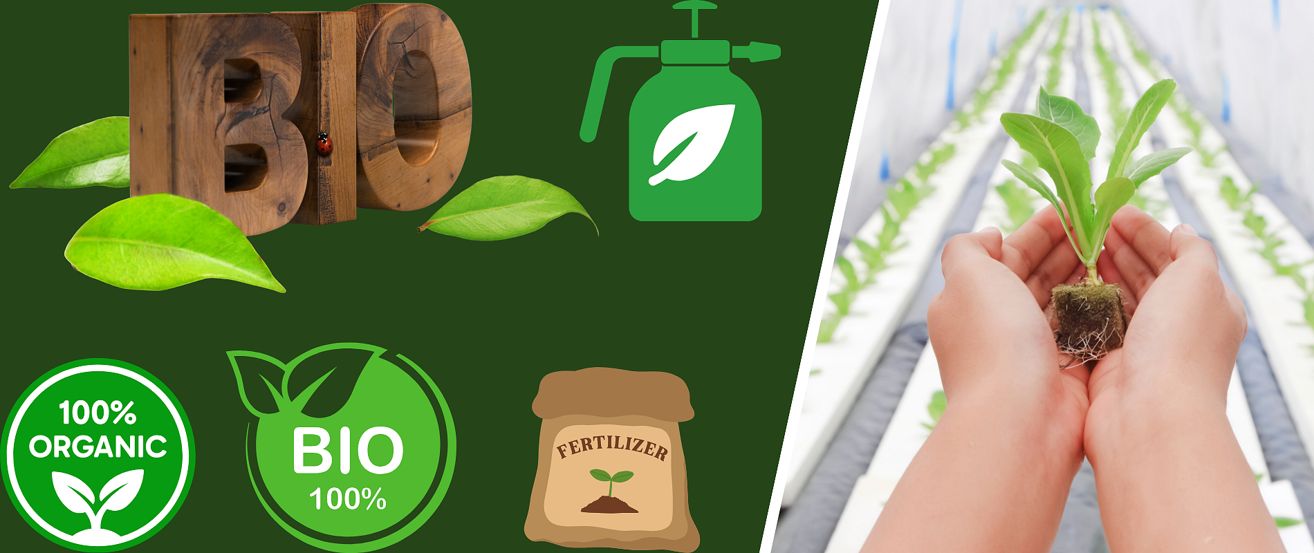 Ανακαλύψτε στο Agrol.gr 100% βιολογικά λιπάσματα, οργανικά προϊόντα και φυτοπροστασία για υγιείς καλλιέργειες και φυσική γεωργία.