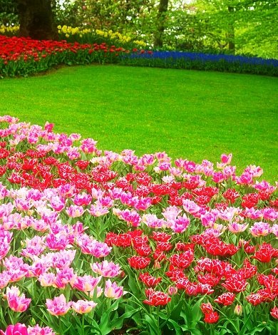 Στο Agrol.gr η κατηγορία Είδη Κήπου σου προσφέρει ολοκληρωμένες λύσεις για τον εξωτερικό σου χώρο. Ανακάλυψε φυτοχώματα & υπόστρωμα, γλάστρες & ζαρντινιέρες, συστήματα ποτίσματος & άρδευσης και διακοσμητικά αξεσουάρ που συνδυάζουν αισθητική και λειτουργικότητα. Ιδανικά για ερασιτέχνες και επαγγελματίες, τα προϊόντα μας εξασφαλίζουν υγιή φυτά, εύκολη συντήρηση και όμορφο αποτέλεσμα.