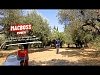 Macboss PSMB79 Αυτόνομο Ψεκαστικό Μπαταρίας 12V 12Ah με Διπλή Αντλία & Πίεση 11 Bar