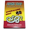 Stac Snake Trap παγίδα φιδιών με κόλλα 31x22x5,5cm