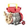 Rover Pompe 20 CE Μπρούτζινη Αντλία Μετάγγισης 0.5 HP - Παροχή 1700 lt/h για Κρασί & Λάδι