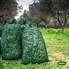 Σακί ελαιοσυλλογής Grasher διχτυωτό 45x90cm με κορδόνι 100gr