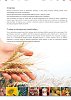 CROPMAX 250ml, 1lt, 5lt | Πανίσχυρος Βιοδιεγέρτης Αμινοξέων & Οργανικό Λίπασμα για Μέγιστη Απόδοση