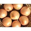 Κοκκάρι Στρογγυλό Stuttgarter 14/21 Ψιλό – 500 g ή 1 kg