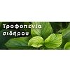 Gemma Υγρός Σίδηρος 300ml | Άμεση Θεραπεία για Κίτρινα Φύλλα & Χλωρώσεις