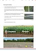 CROPMAX 250ml, 1lt, 5lt | Πανίσχυρος Βιοδιεγέρτης Αμινοξέων & Οργανικό Λίπασμα για Μέγιστη Απόδοση