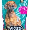 Vigor Premium Energy 15 kg – Ξηρά Τροφή Υψηλής Ενέργειας για Ενήλικους Σκύλους