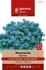 Gemma Myosotis Μη Με Λησμόνει – Σπόροι πολυετούς για γλάστρα & κήπο