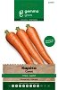 Σπόροι καρότο Γίγας φάκελος – Flakkee 2