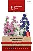 Καμπανούλα Μίγμα Gemma – Σπόροι Διετούς Καλλωπιστικού