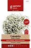 Γυψοφίλη Μικρό Άνθος Gemma – Μονοετής για Κομμένα Λουλούδια